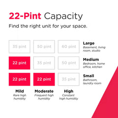 22 Pint Dehumidifier