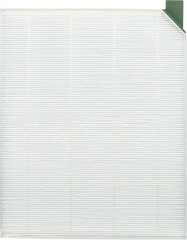 PureAir® RAC-15 Premium Allergen Air Filter