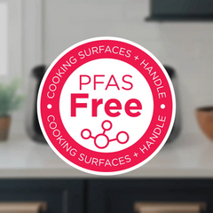 Indoor Pizza Oven and Air Fryer